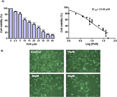 Transcriptome analysis revealed the genes and major pathways involved in prunetrin treated hepatocellular carcinoma cells